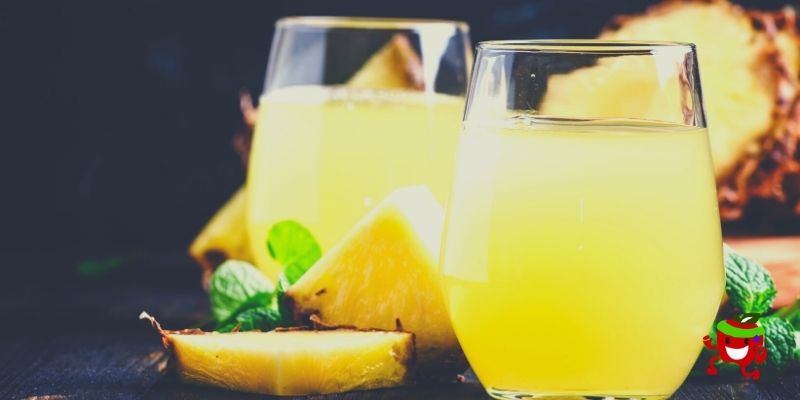 Suco Detox para emagrecer feito de couve, abacaxi e hortelã